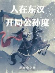 开局公孙度笔趣