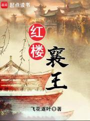 红楼襄王全文免费TXT