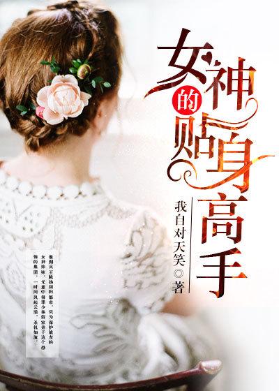 女神的贴身高手原文