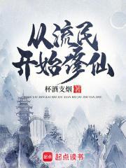 从流民到领主的类似