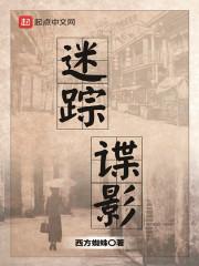 迷踪谍影完整版TXT
