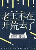 老王不在开荒去了在线阅读