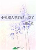 小机器人把自己上交了茶小娰