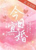 今日宜婚陈午溪免费阅读