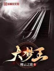 大梦王妃咸鱼免费阅读