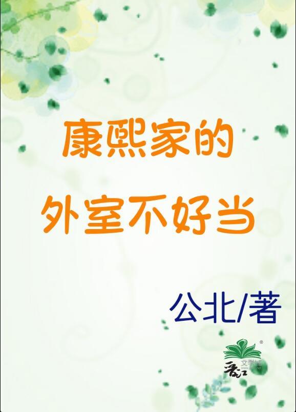 康熙外室太子妃的