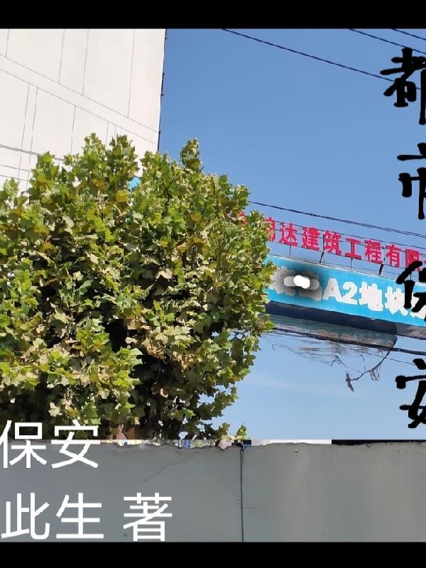都市保安故事线