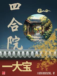 四合院一大宝儿免费完整版