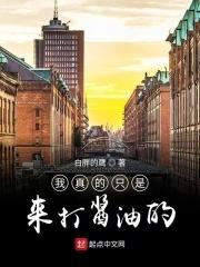 b站我只是打酱油的
