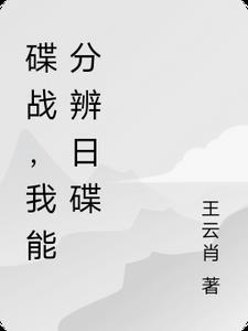 碟战片经典