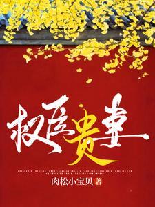 重生贵妻之华丽复仇免费阅读