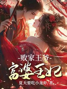 败家王爷要娶亲元毅