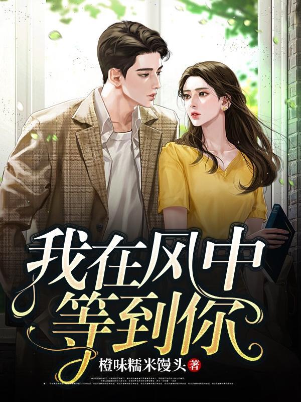 我在风中等你什么歌