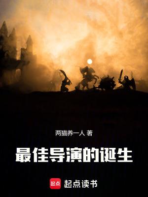 最佳导演的诞生无错版