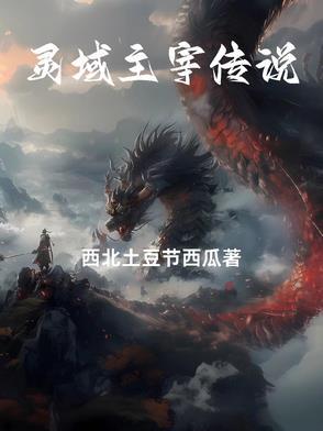 灵域主人公