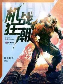 机战w 全金属狂潮
