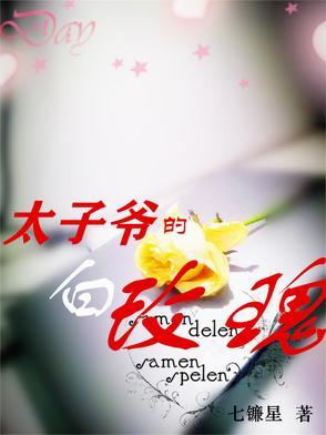 太子爷的白玫瑰笔趣阁