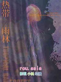 热带雨林歌曲