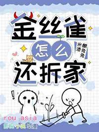 金丝雀怎么还拆家流产是哪章