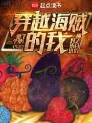 穿越海贼的我对铁块迷之自信起点