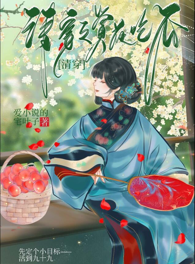 清穿之华