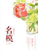 重生之名模